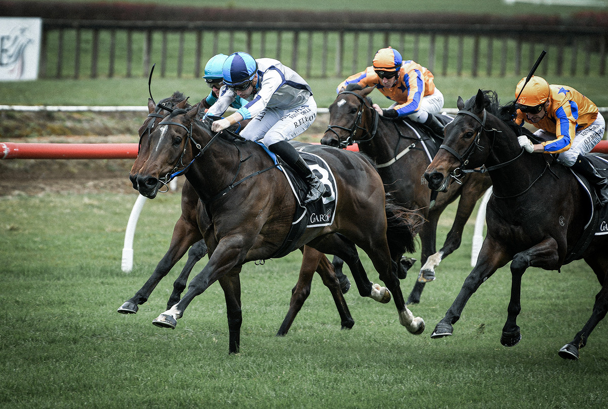 Aligning Ambitons Kingmakers 1