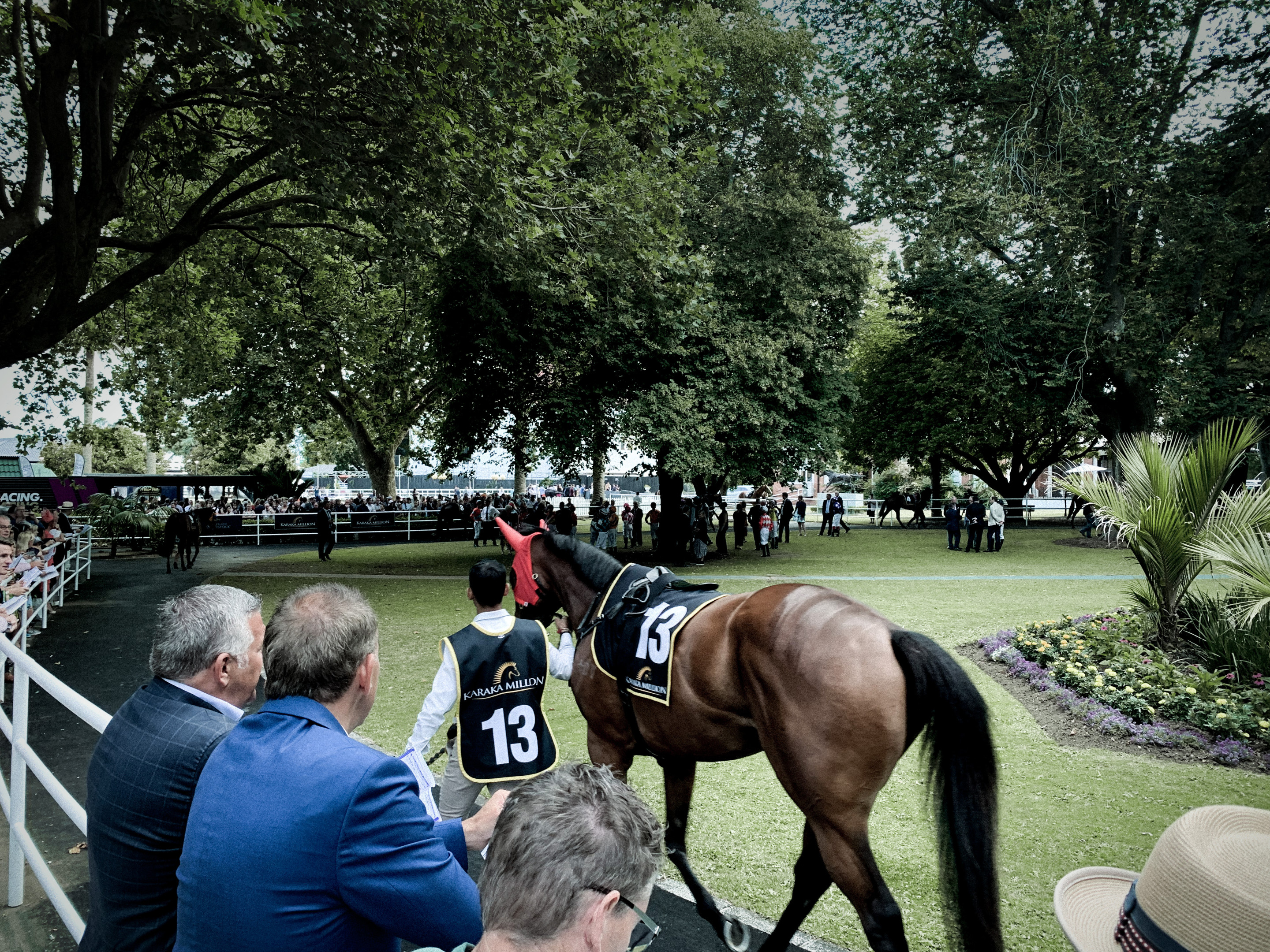 Ellerslie Birdcage Racehorse Owners