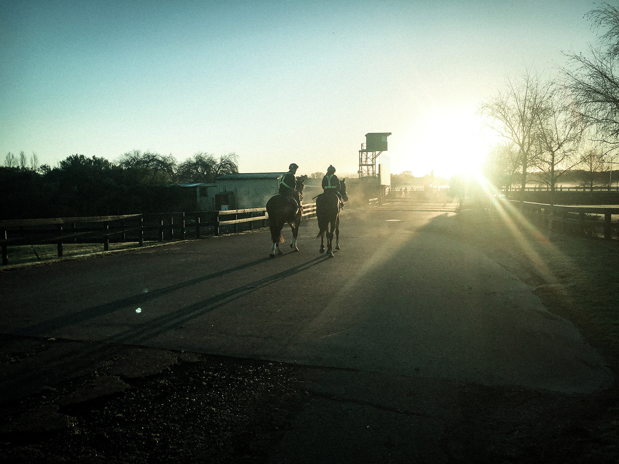 Horse Training Kingmakers Syndication