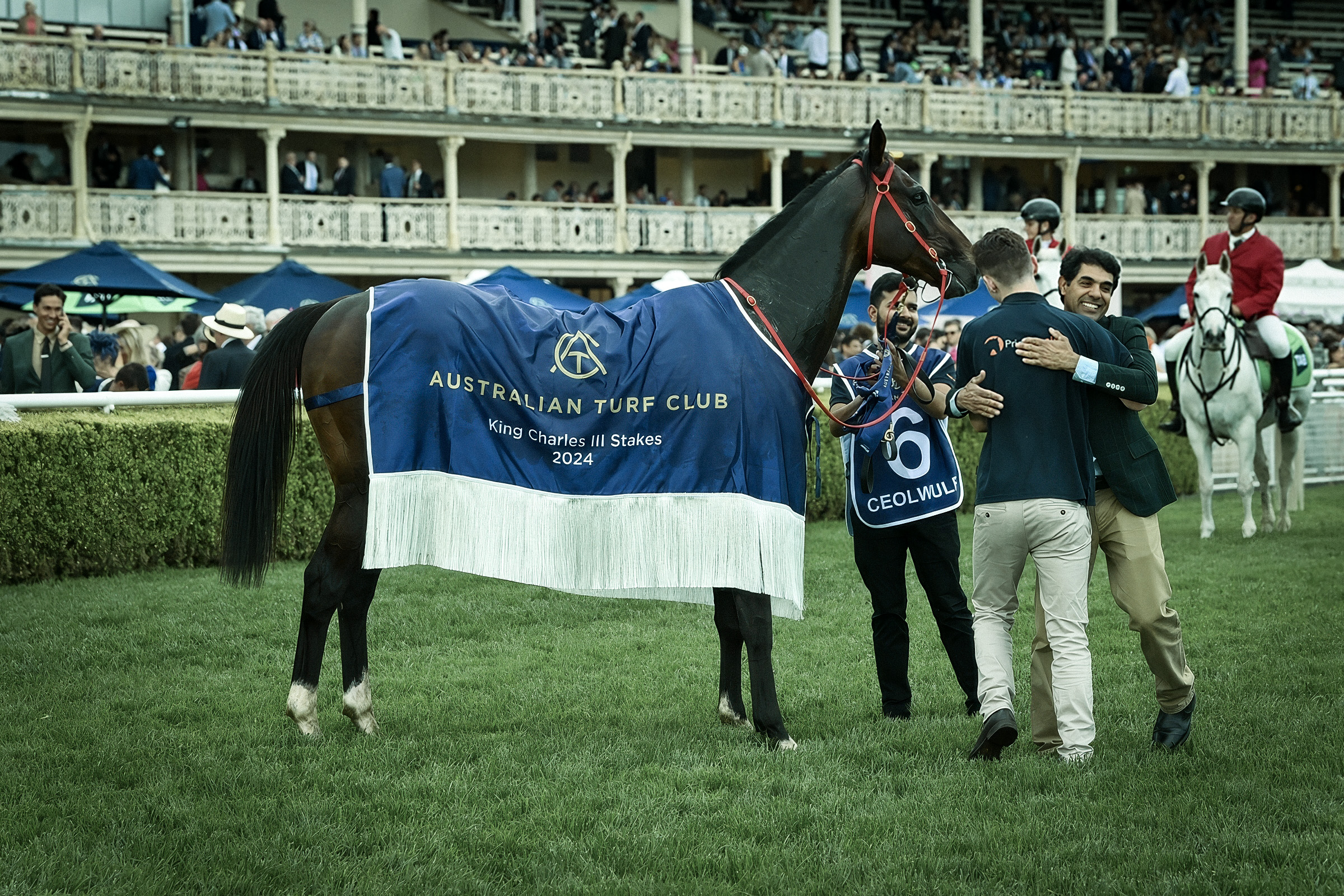 King C rug topaz standard v2 2x faceai