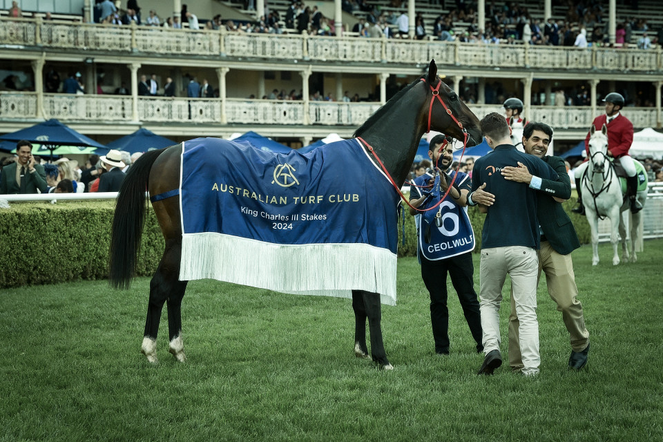 King C rug topaz standard v2 2x faceai