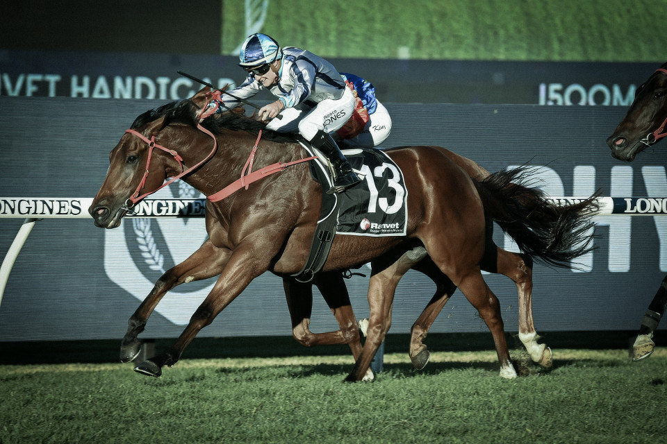 Mach Schnell Kingmakers Syndication Journal 1