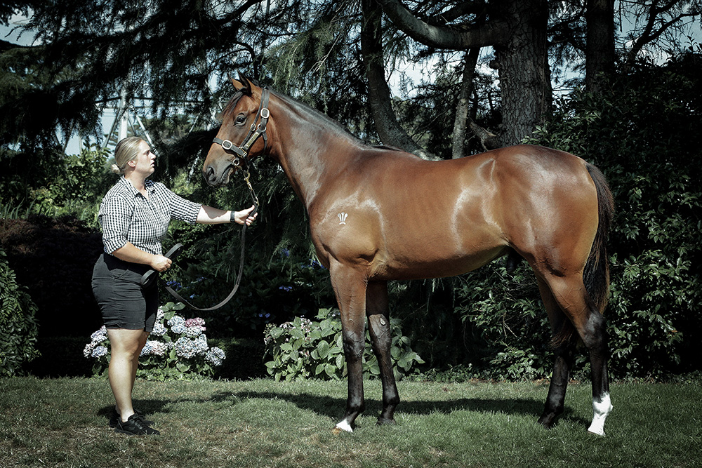 Pride of Dubai Danica Guy Racing Kingmakers 1