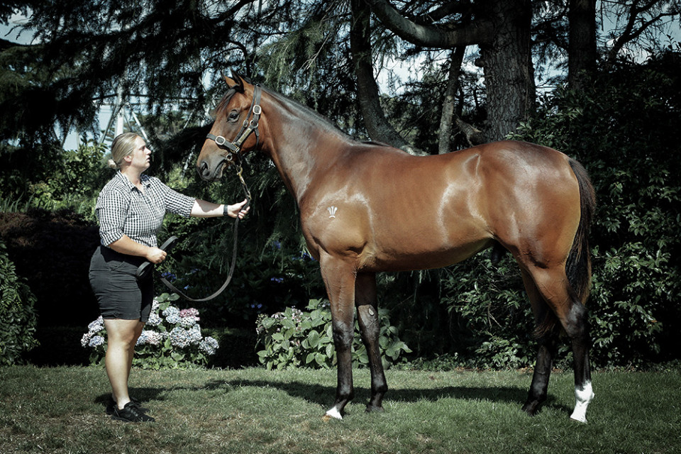 Pride of Dubai Danica Guy Racing Kingmakers 1