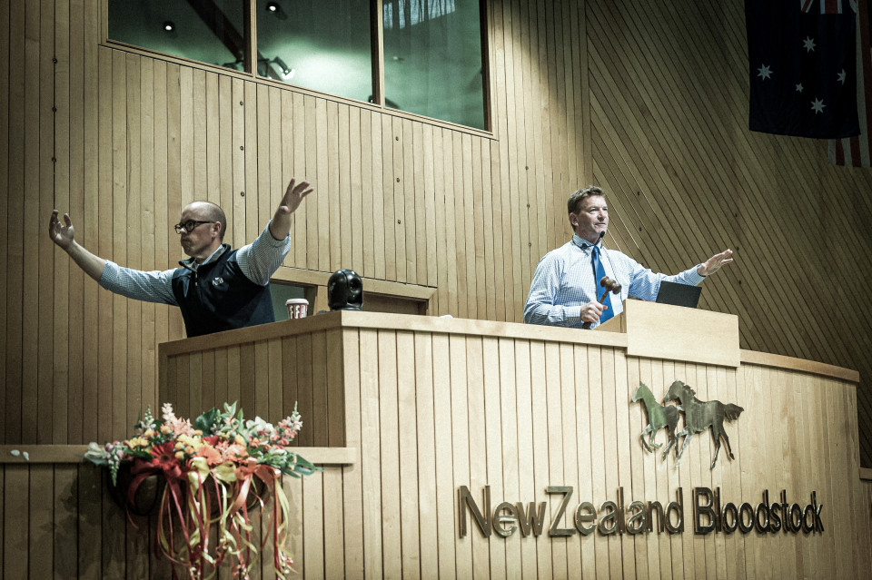 NZB Auction Karaka Kingmakers