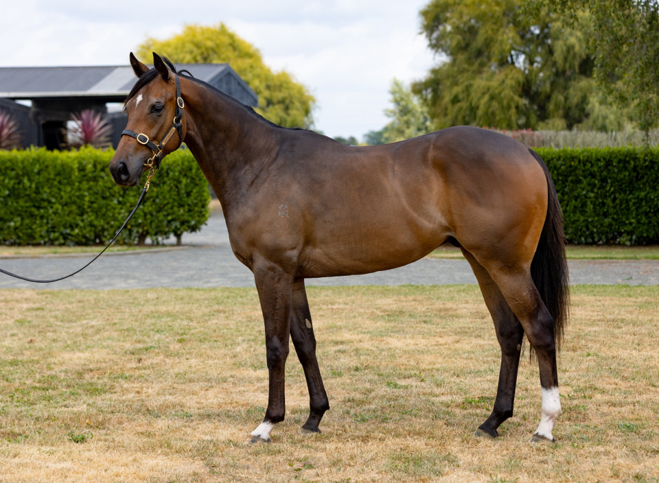 Turn Me Loose Joe Pride Racing Kingmakers 1