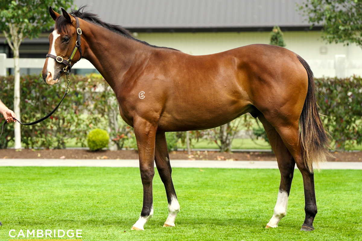 Dundeel Website Photo 1200x800 2