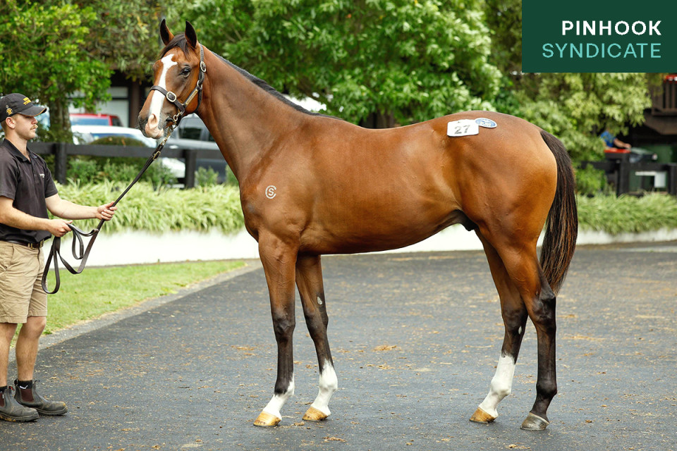 Dundeel Website Photo 1200x800 Pinhook Mini Tag