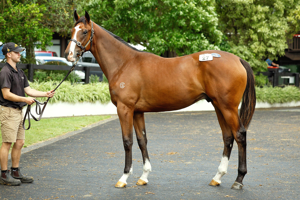 Dundeel Website Photo 1200x800 Standing