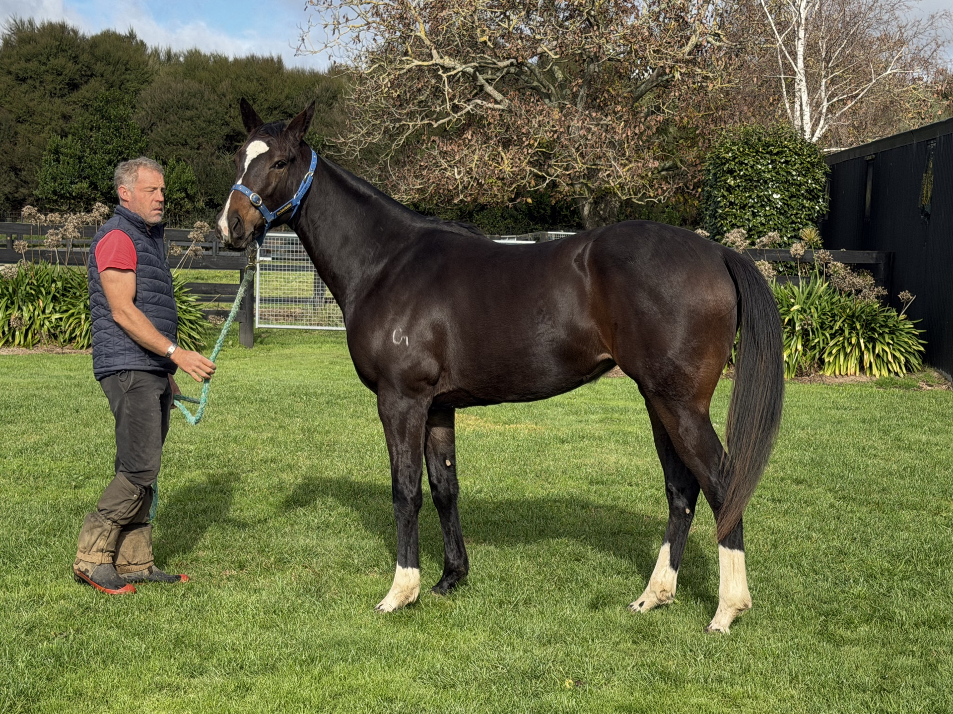 Eminent Filly 02