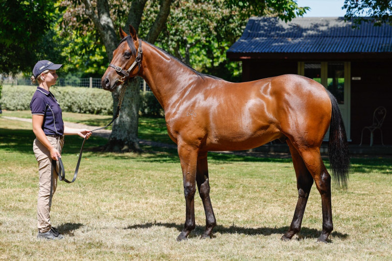 Time Test Yearling Kingmakers Syndications