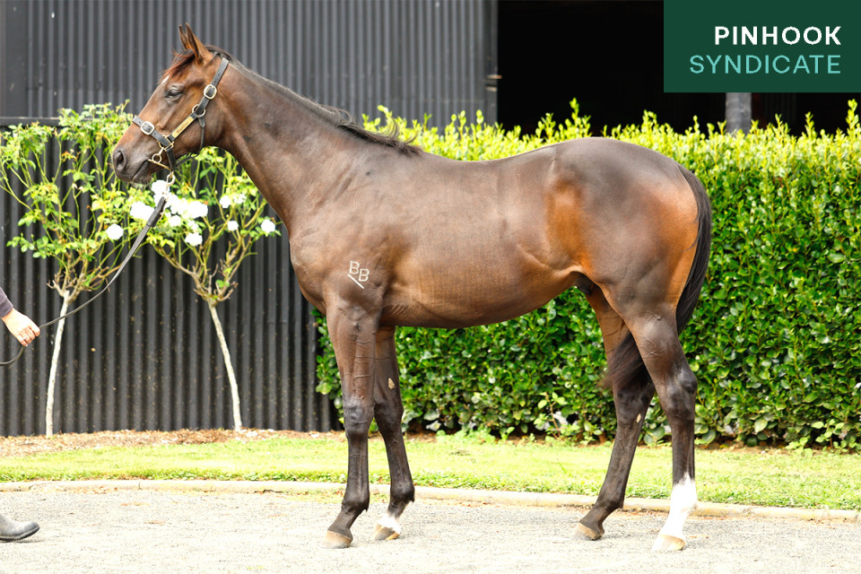 Yes Yes Yes Photo 1200x800 Pinhook Mini Tag