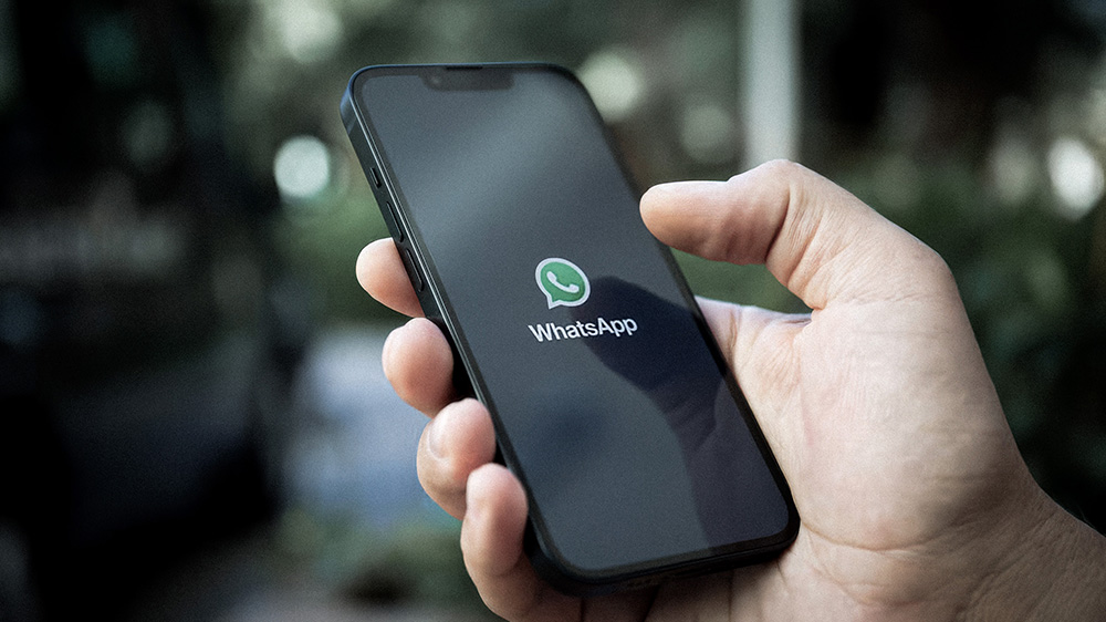 Syndicate Services Kingmakers Syndication Whats APP