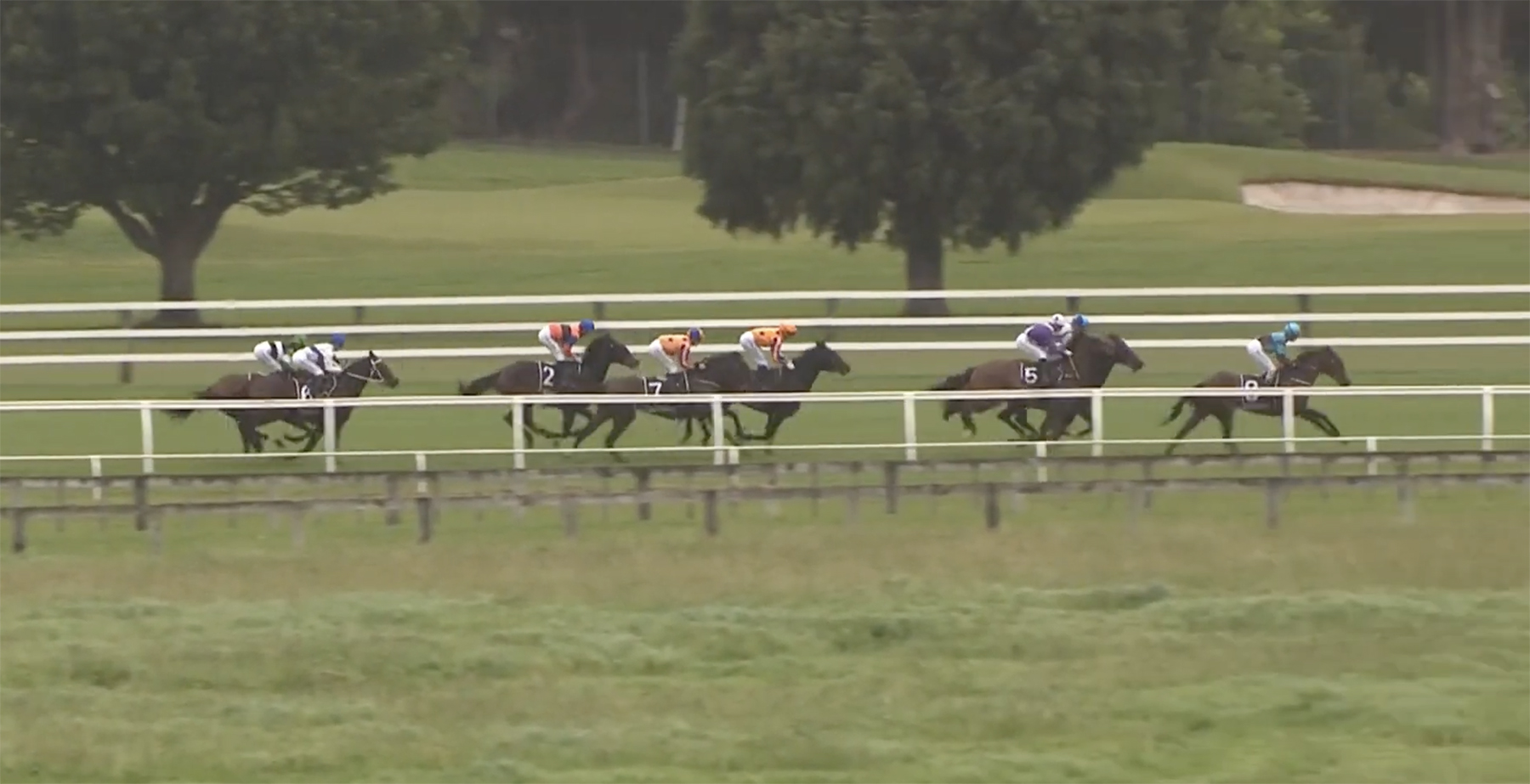 lupo you tube 2 copy