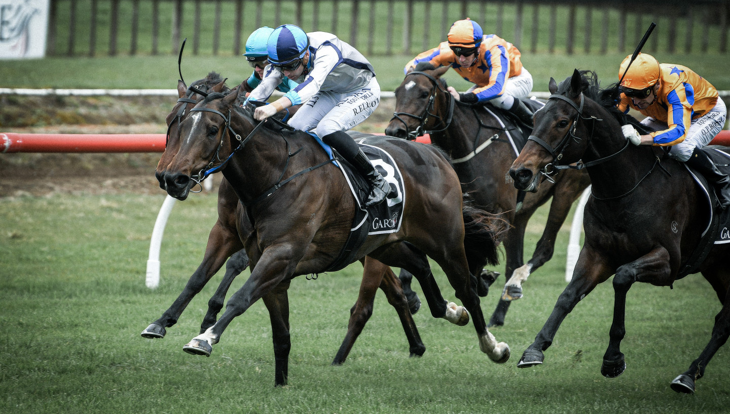 Lupo Soltario Kingmakers Syndication Journal 1