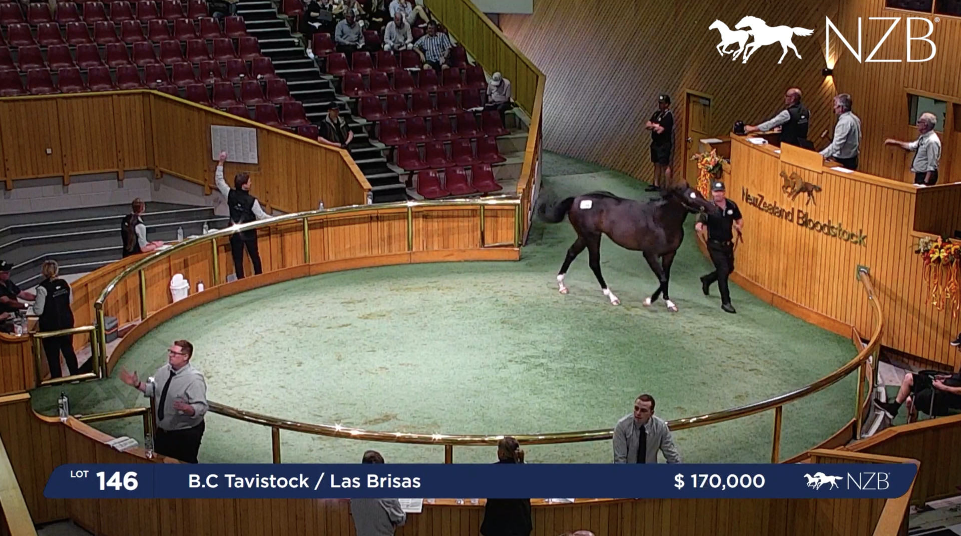 Ceolwulf Kingmkars Karaka Sales