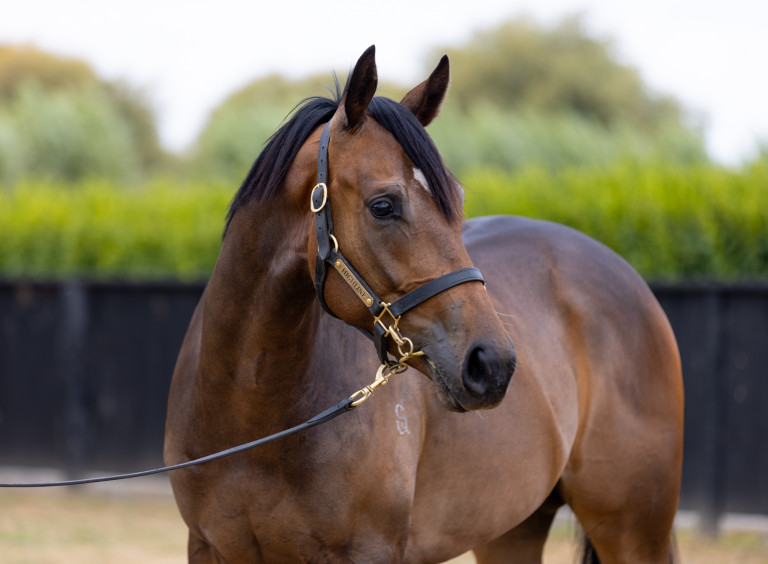 Turn Me Loose Joe Pride Racing Kingmakers 2