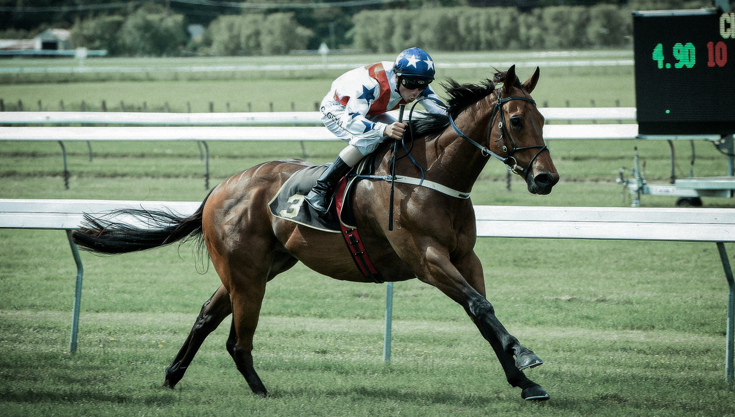 Tomorrowland Kingmakers Journal 1