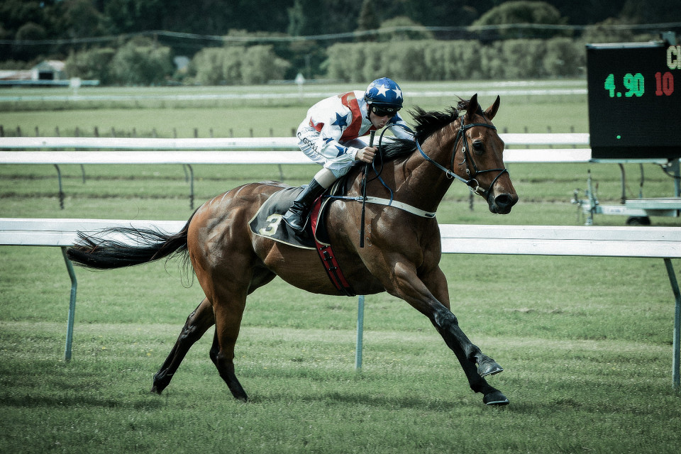 Tomorrowland Kingmakers Journal 1